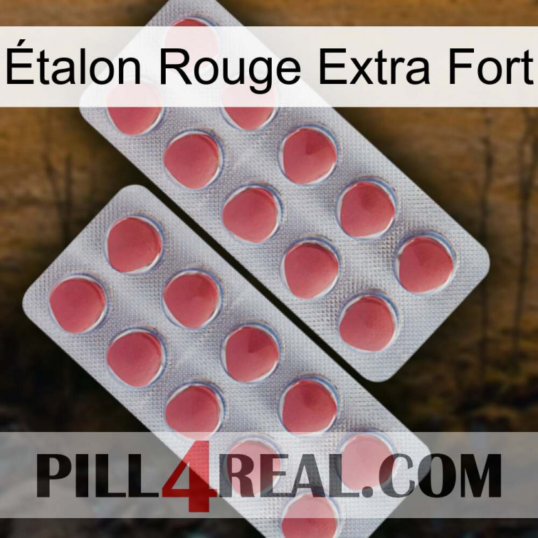 Étalon Rouge Extra Fort 19